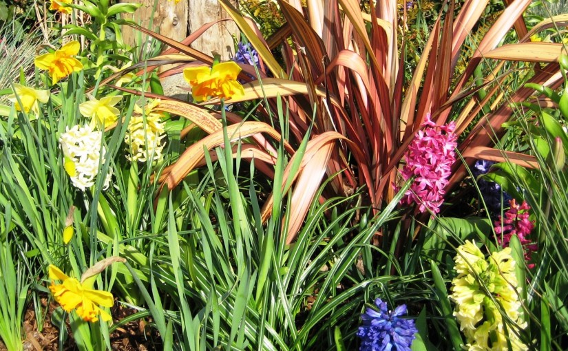 The Truth About Being Born&nbsp;Again