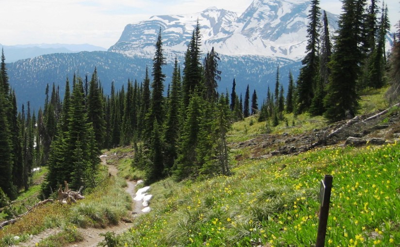 The Road to&nbsp;Laodicea