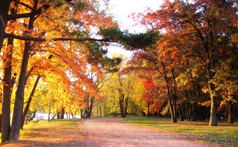 Woman – Glory of the&nbsp;Man