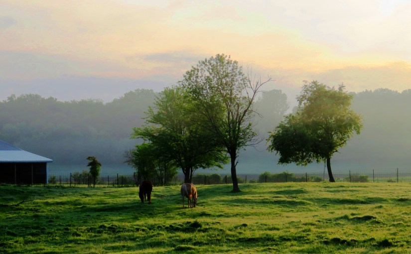 Healing and Peacemaking in the House of&nbsp;God