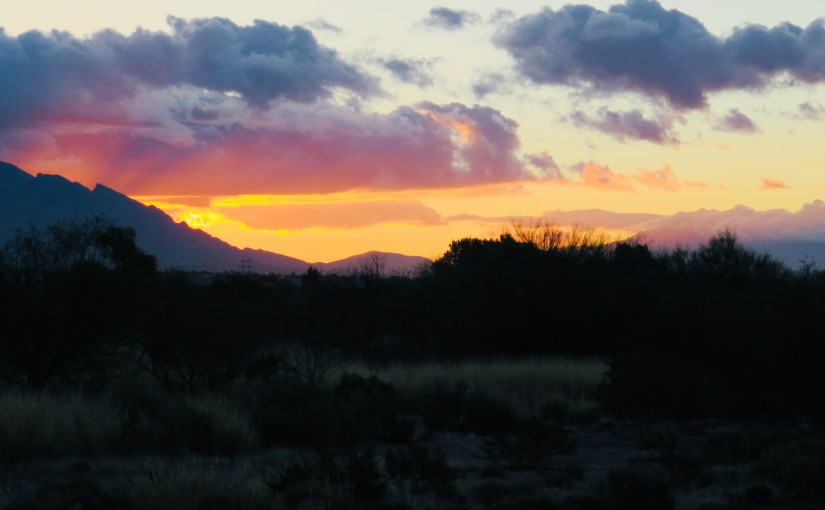 Israel’s Difficult Future in Christian&nbsp;Perspective