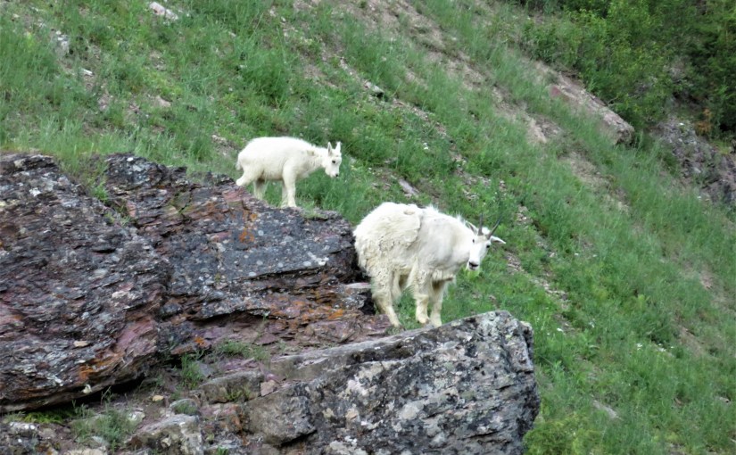 The Value of Spiritual&nbsp;Fatherhood